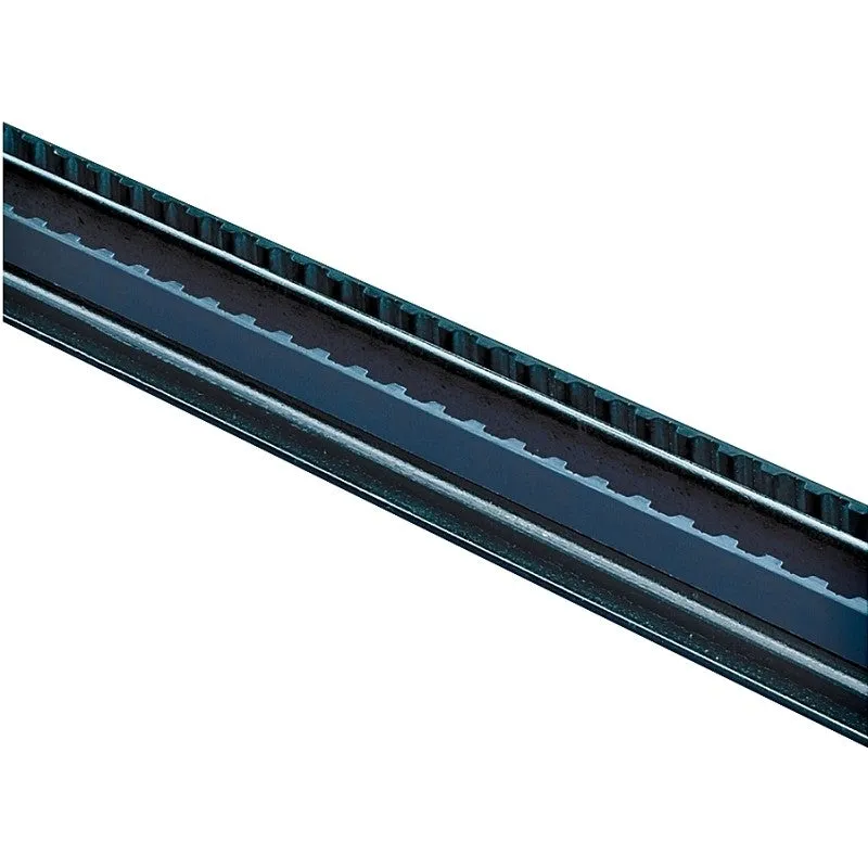 Chamberlain 8808CB-P Belt Drive Rail Extension Kit, For: Garage Doors