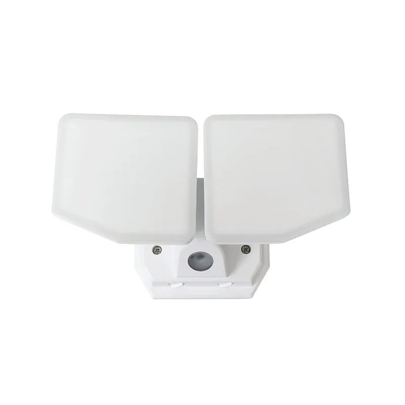 FLOOD LT AC 2HD WHT D2D 3000LM