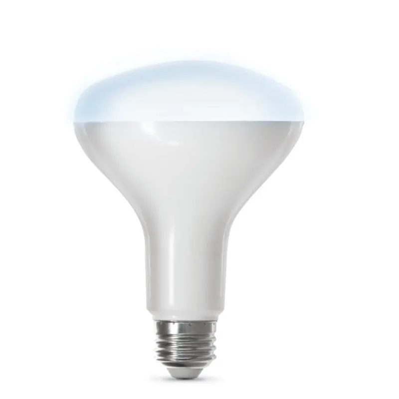 Feit Electric BR30/950CA/AG Smart Bulb, 700 Lumens, 5000 K Color Temp, 8 W, Wi-Fi Connectivity: 2.4 GHz, Voice Control
