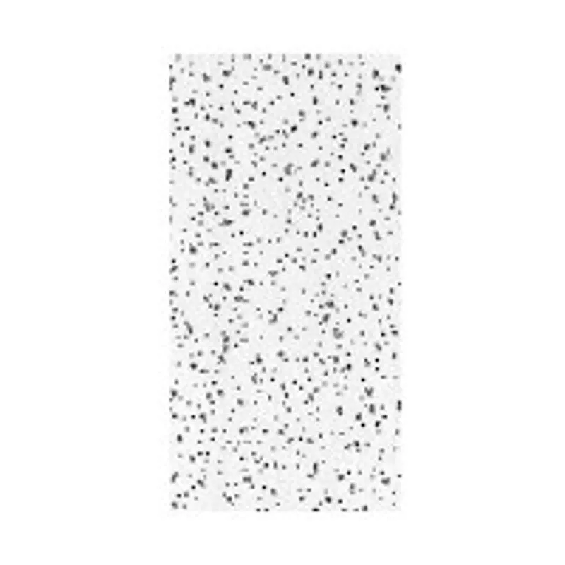 USG R2310/290 Ceiling Panel, 4 ft L, 2 ft W, 5/8 in Thick, Fiberboard, White